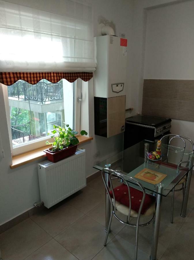 Appartamento Apartament Ramona Braşov Esterno foto