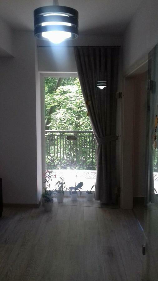Appartamento Apartament Ramona Braşov Esterno foto